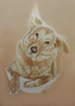 golden-retriever-portraitgolden-retriever-portrait.png